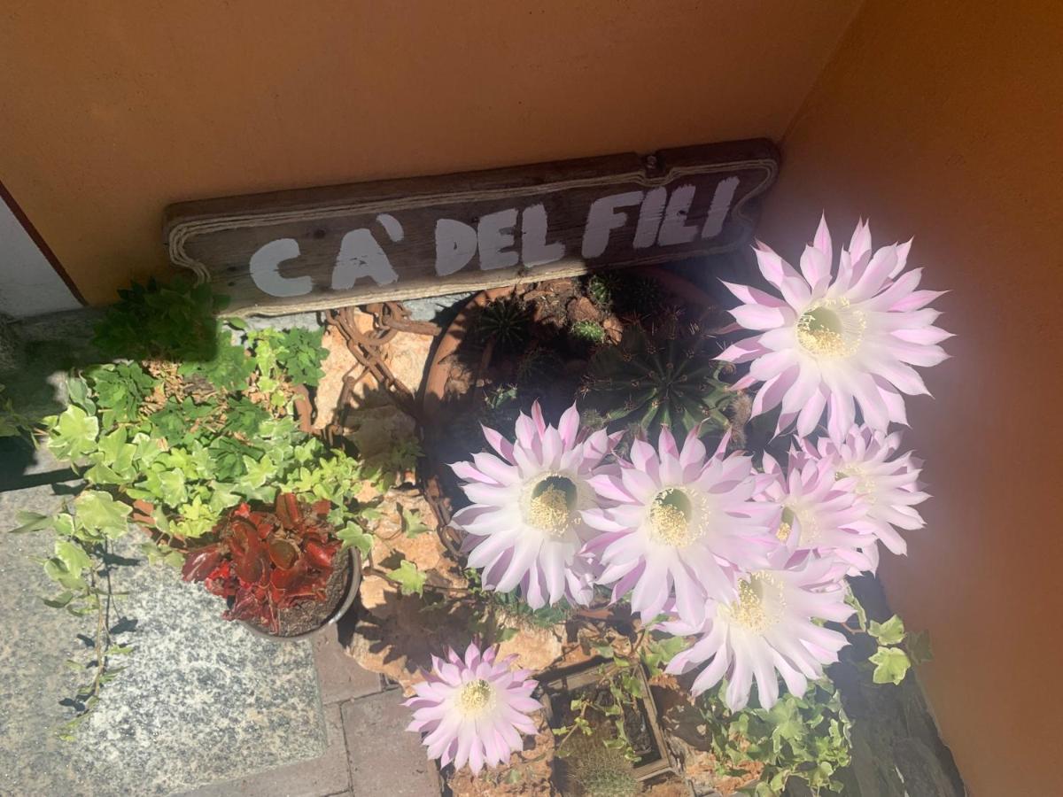レンノ Ca Del Filiヴィラ エクステリア 写真